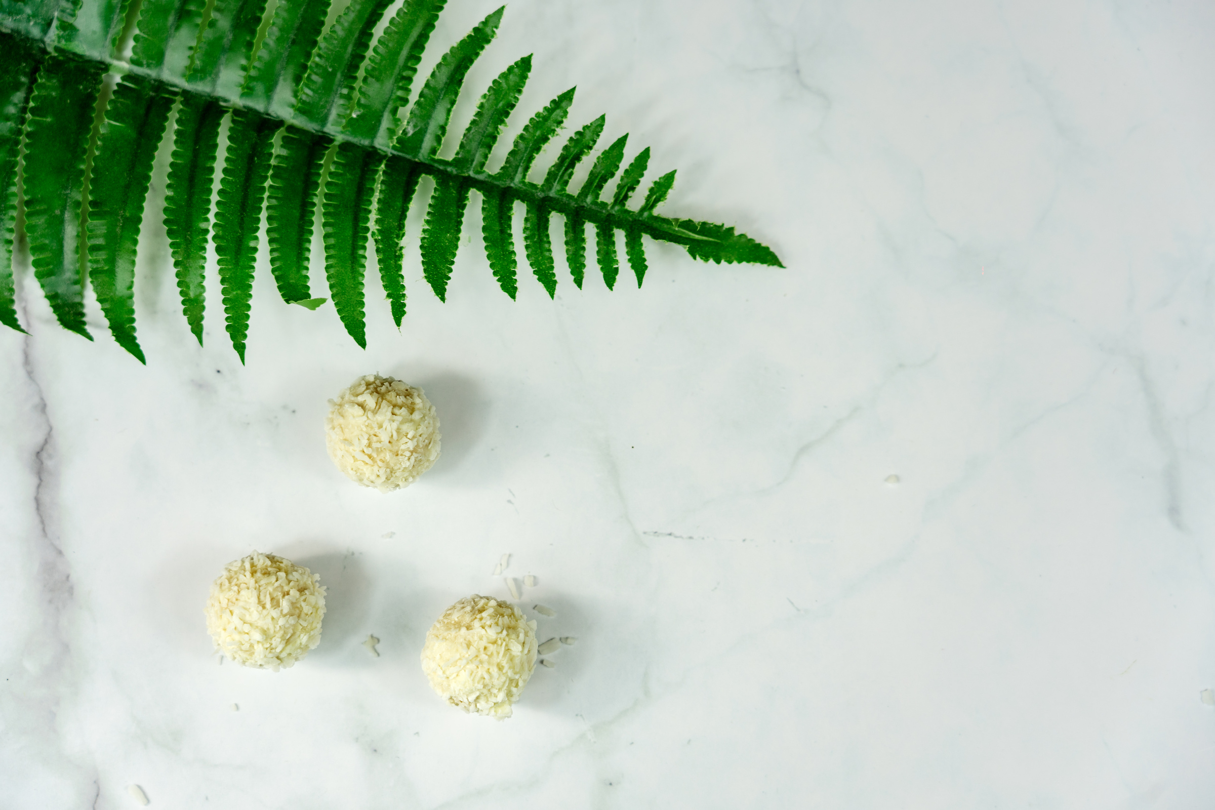 Bio healthy natural coco balls dessert with leaf and marbel background .